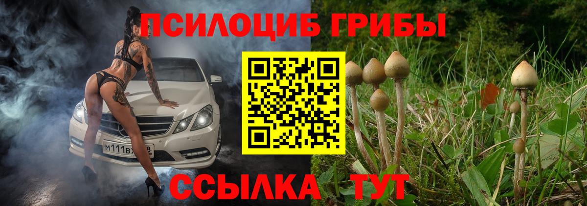 Галлюциногенные грибы мухоморы  Вход с VPN  что такое   Кисловодск 