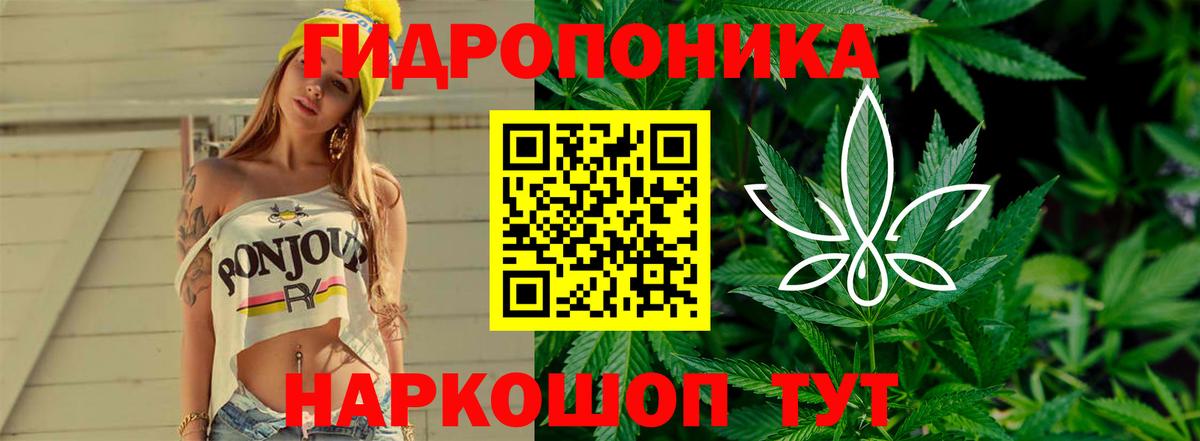Бошки Шишки AK-47  Шишки марихуана THC 21%  Вход с VPN  Шишки марихуана SATIVA & INDICA  Кисловодск 